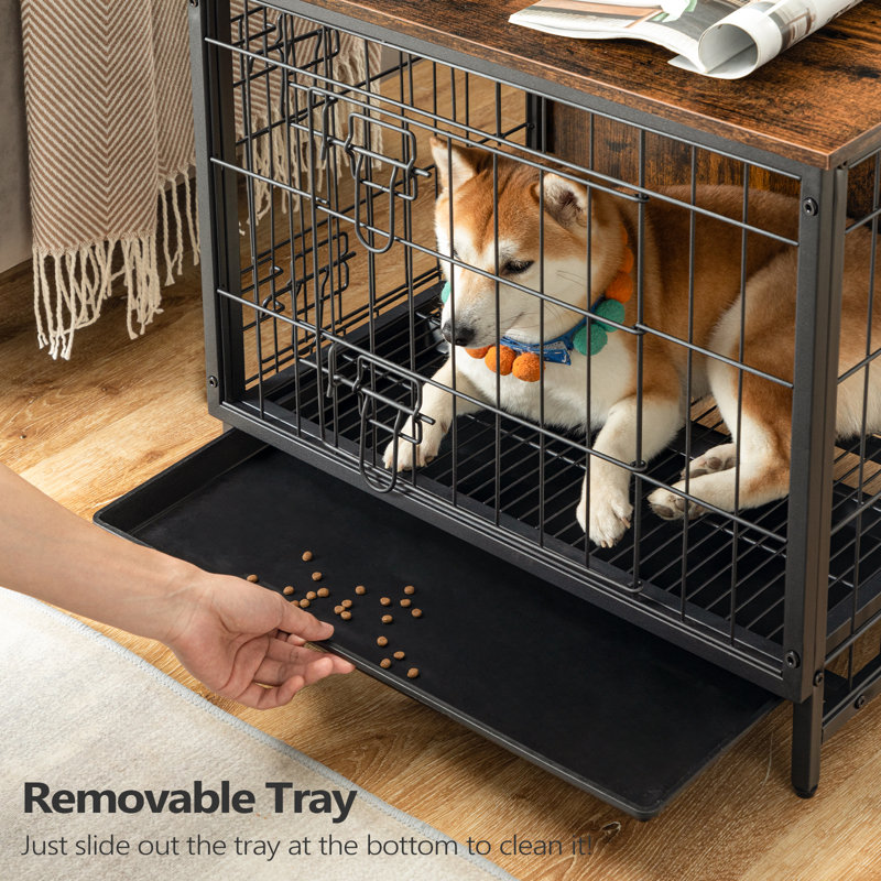 Tucker Murphy Pet Brielee Pet Crate Reviews Wayfair